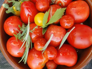 tomato-harvest-660628_1280